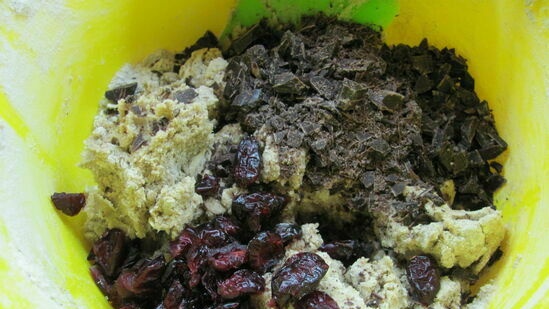 Biscotti di farina d'avena con mirtilli rossi e cioccolato di E. Jimenez
