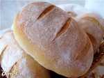 Wheat bread from XAVIER BARRIGA