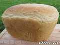 خبز القمح مع البذور في آلة صنع الخبز Scarlett-400