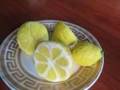 Lemons from mastic (master class)