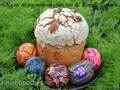Easter cake according to the recipe of the Italian Easter colomba from Gala with sourdough