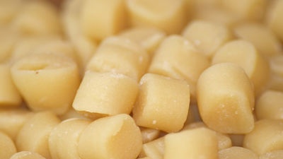 מיקרופלורה של תרבויות ראשונות והכנות להכנת גבינה