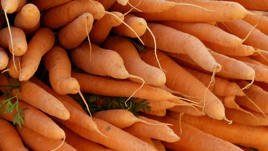 Growing carrots