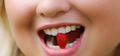 Il significato e lo sviluppo dei denti