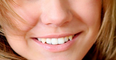 המשמעות והתפתחות השיניים