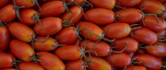 Eating foods high in lycopene improves cardiovascular health