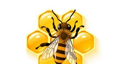 غذاء ملكات النحل وصحة الإنسان