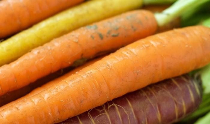 5 formas divertidas de agregar zanahorias a su comida diaria