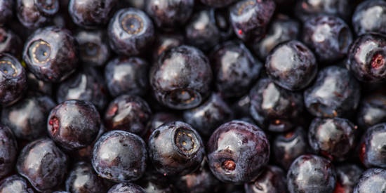How blueberries affect children's brain activity