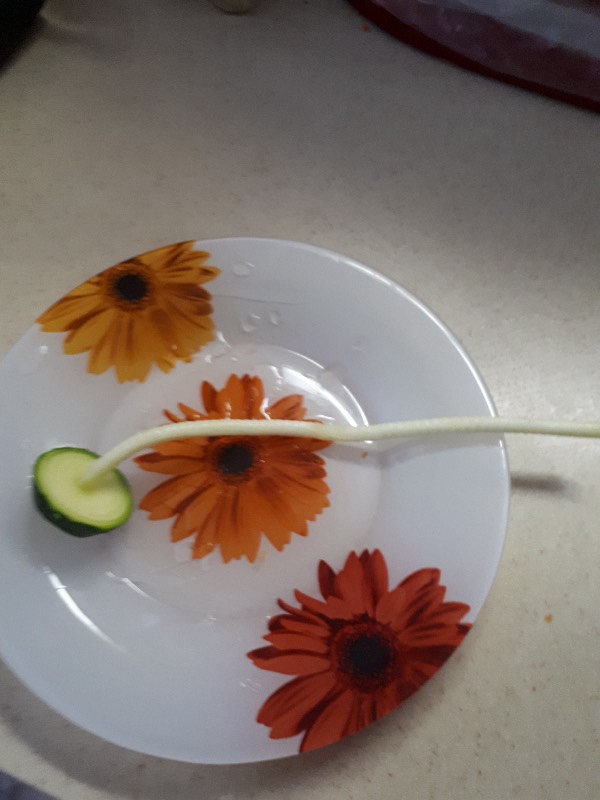 Picadora en espiral (rebanadora, espiralizadora) para cortar verduras y frutas