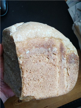 خبز القمح الجاودار مع العجين المخمر في صانع خبز Serenky