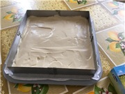 Belevskaya marshmallow in Lequip D5 Eco dehydrator
