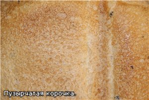 باناسونيك SD-257 خبز القمح والجاودار بالزيتون