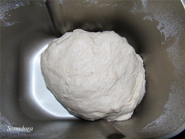 Pane integrale con acqua gassata (metodo della spugna)