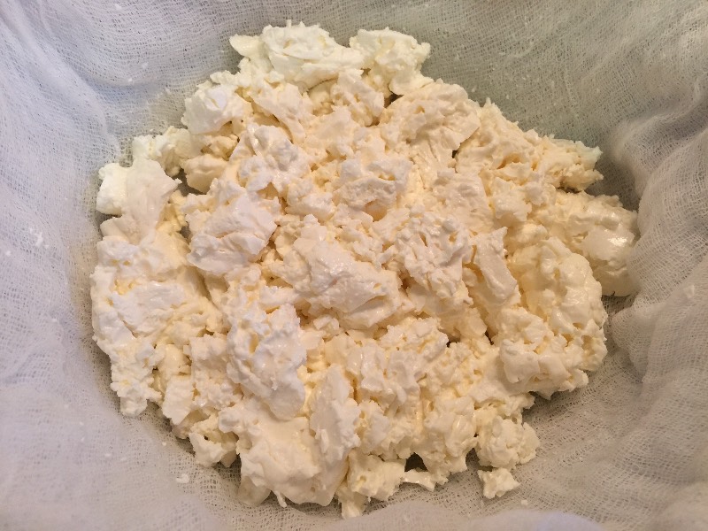 Natural curd from sour milk