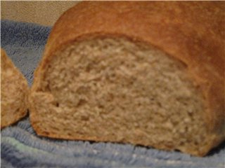 Ciasto na chleb pełnoziarnisty 50:50 (Peter Reinhart)