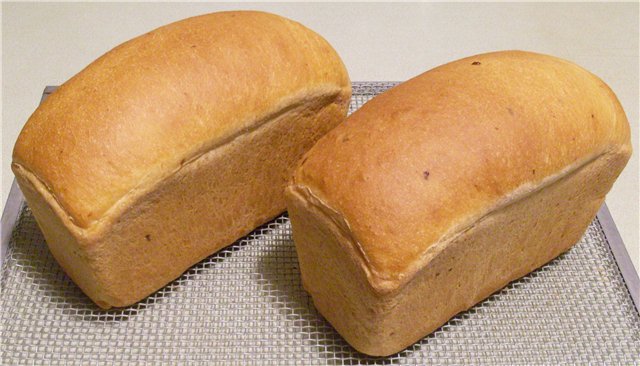 Snel gekneed kaasbrood in de oven