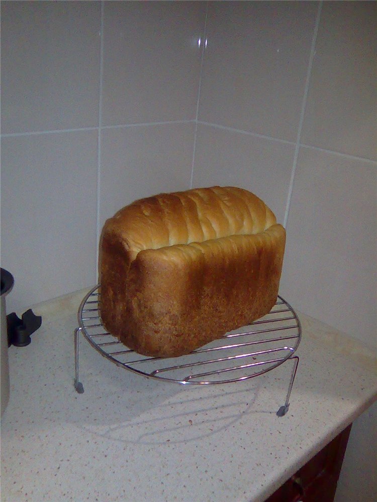איזה יצרנית לחם לקנות?