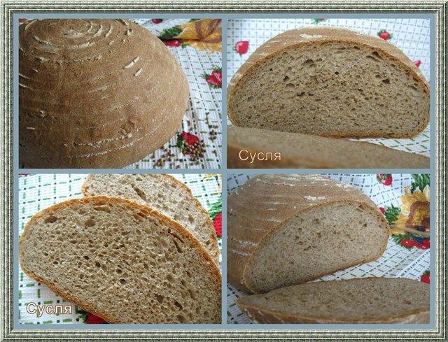 Whole grain bread Twenty years old with coriander.