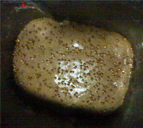 Pan de centeno 100% a partir de harina pelada y sin semillas en HP.