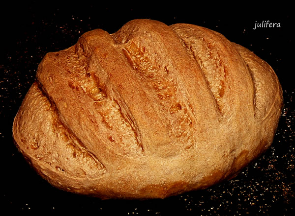 Rustic bread on dough according to Kalvel (oven)