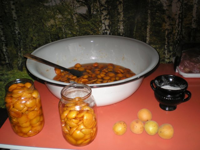 Dessert, canned apricot filling (plums) in its own juice