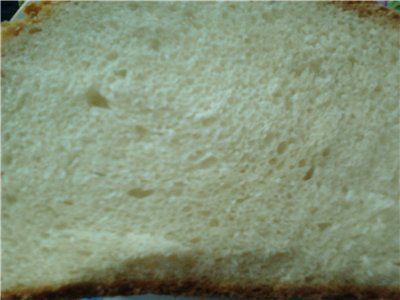 Pane italiano con kefir in una macchina per il pane