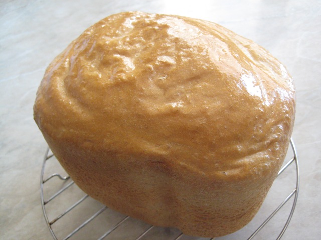 باناسونيك SD-255. خبز ابيض
