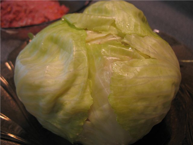 Stuffed cabbage (Cuckoo 1054)