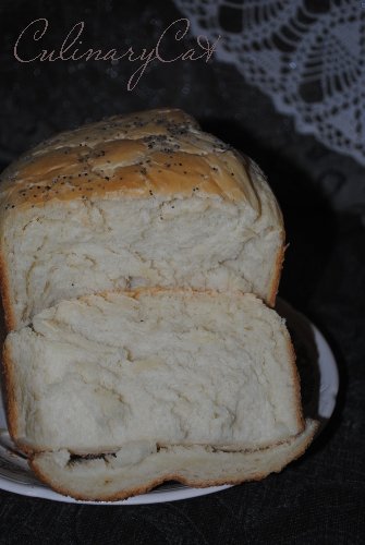Pane di grano con kefir in una macchina per il pane