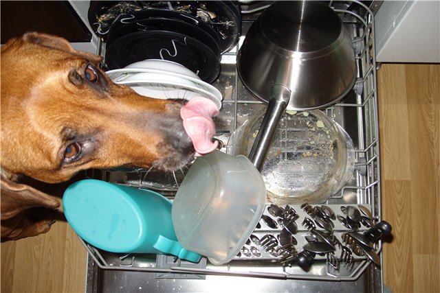 How to place dishes in the dishwasher