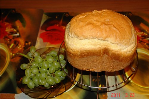 Wypiekacz do chleba Alaska-BM2600