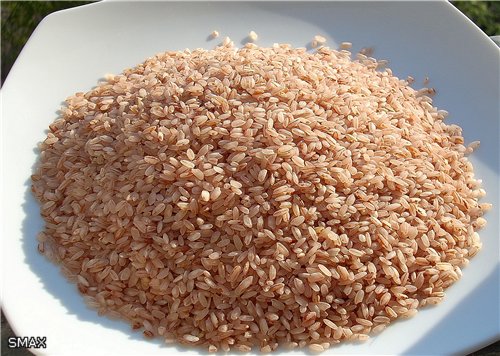 Types and varieties of rice