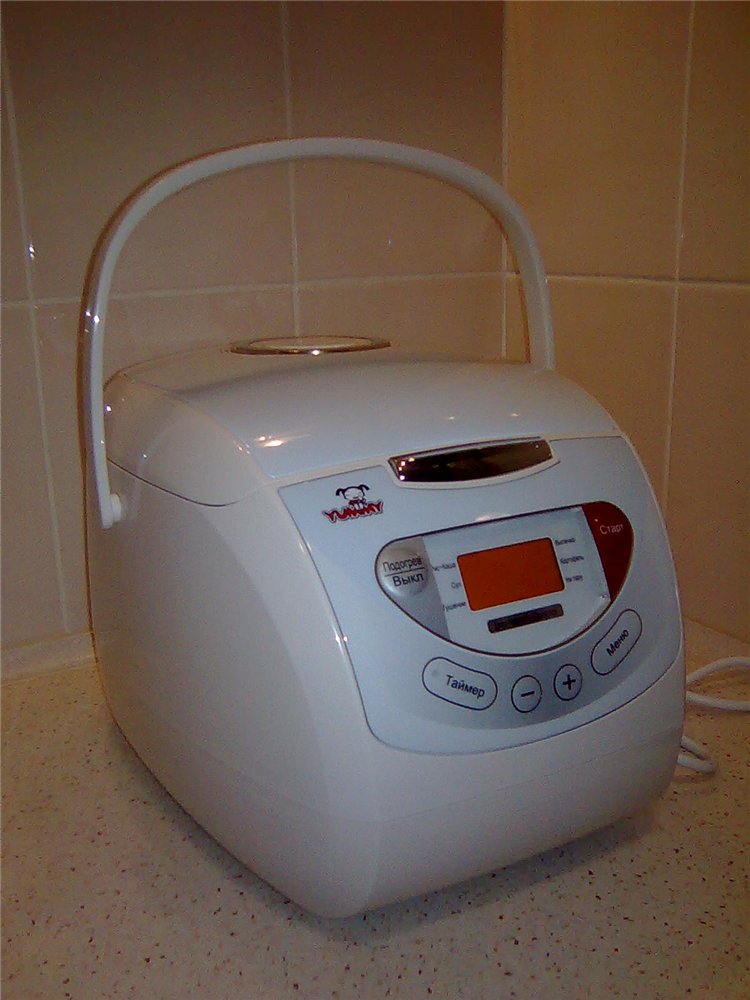 Choosing a slow cooker, rice cooker (1)