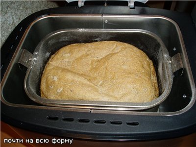 Baking in DeLonghi BDM 125S