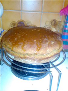 Gevormd tarwe-roggebrood met zuurdesem van kefir van Admin. ( in de oven)