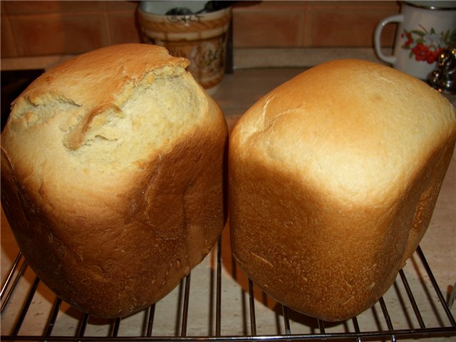 A bread maker for a 250 g loaf - are there any?