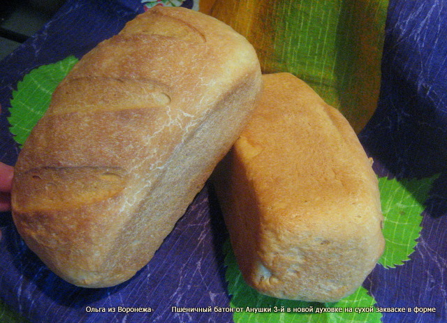 كيفية استخدام مزارع البادئ الجافة عند خبز الخبز؟