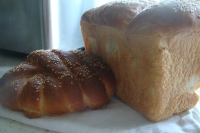 Custard Bread (Oven)