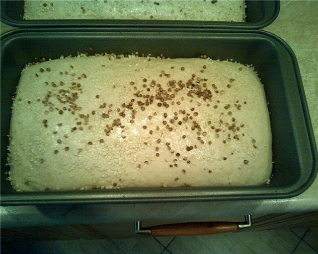 Chleb z dojrzałego ciasta (piekarnik)