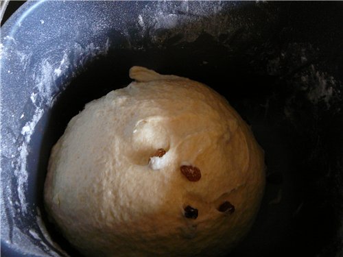 Butter bread with sourdough in a bread maker
