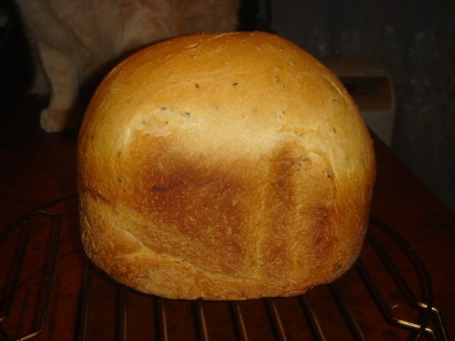 הלחם שלי בפנסוניק - יומן תצפית