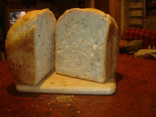 הלחם שלי בפנסוניק - יומן תצפית