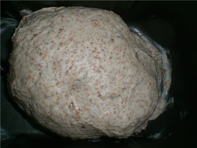 خبز رمادي على بيرة خفيفة في صانع الخبز