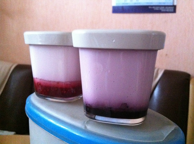 Máquina de yogur: elección, revisiones, cuestiones de funcionamiento (2)