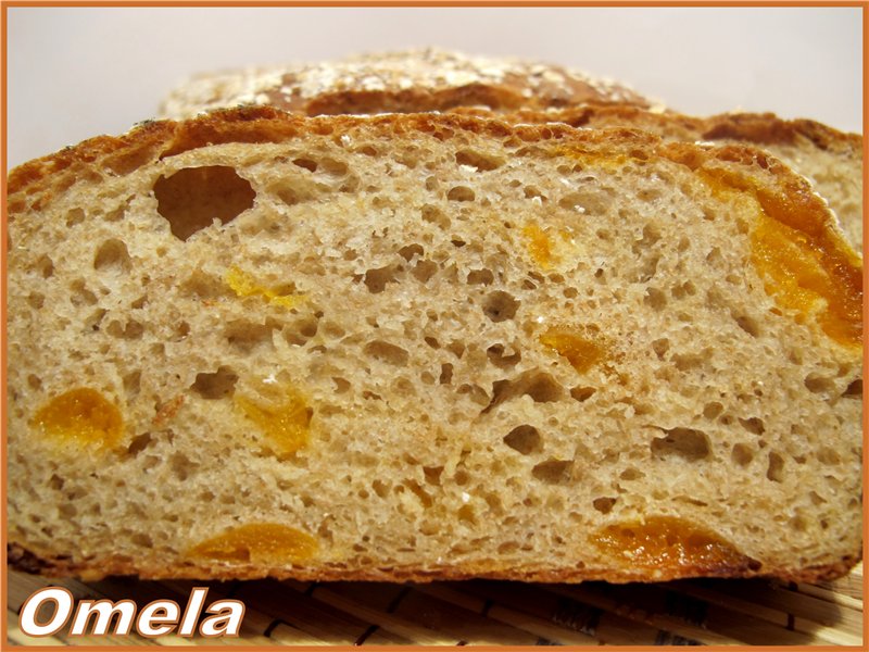 Celozrnný chléb s ovesnými vločkami a sušenými meruňkami (R. Bertine)