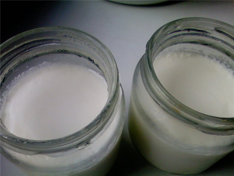 Yoghurt with bacterial starter cultures (narine, VIVO, etc.) (2)