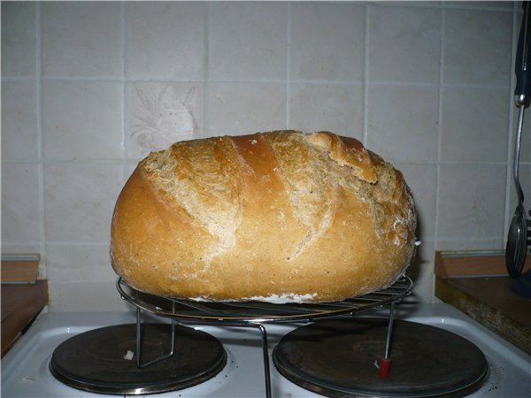 Pan de masa madura (horno)
