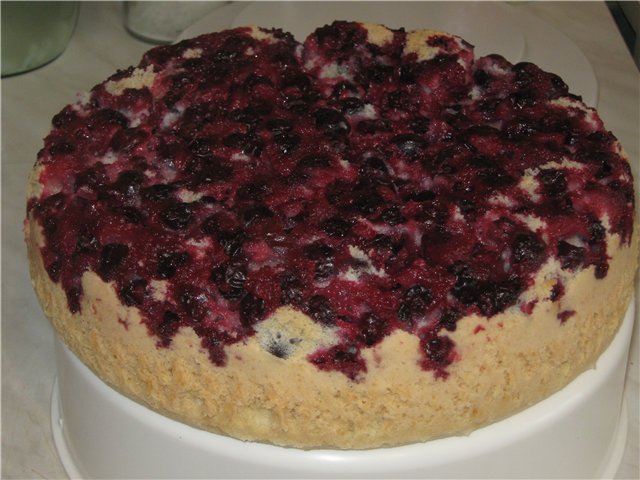 Charlotte with black currant in a Panasonic multicooker