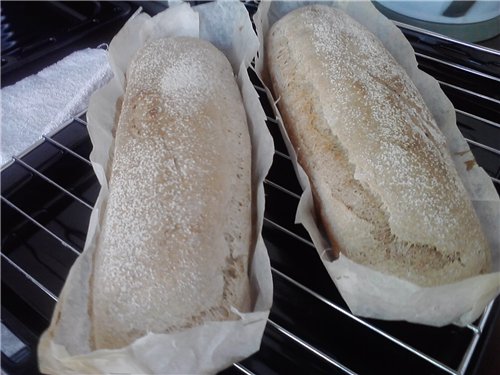 Old Como bread (Pane di Como Antico) in the oven